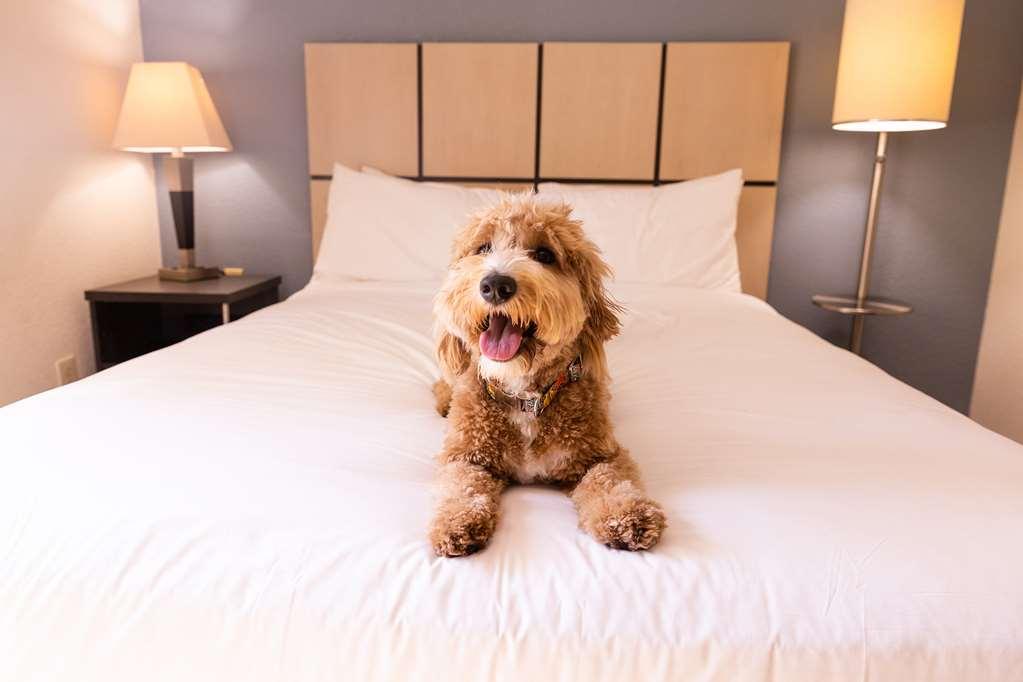 Sonesta Simply Suites Cleveland North Olmsted Airport Buitenkant foto